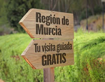 Visitas guiadas gratuitas