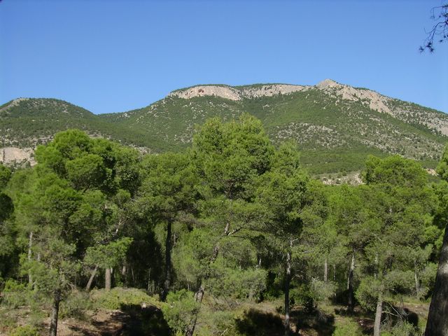 Lorca su población y territorio a lo largo de la historia 37