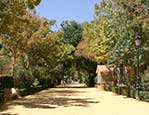 Paseo por las Alamedas de Lorca