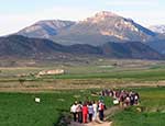 Cerro de la Selva